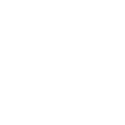 Lightbulb Icon